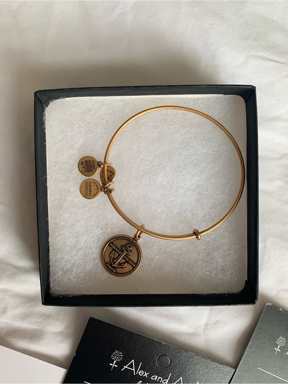 Alex and Ani (+) Energy Gold Rhode Island Charm Bangle